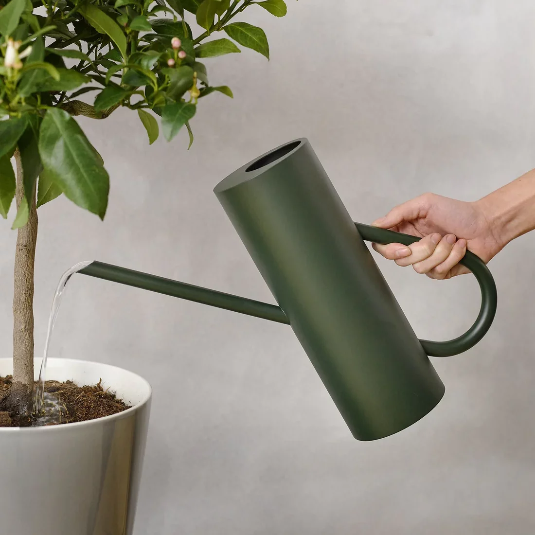 Stelton arrosoir d'occasion - pine / vert foncé