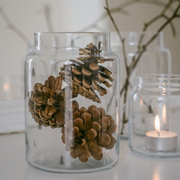 Large fir glass vase