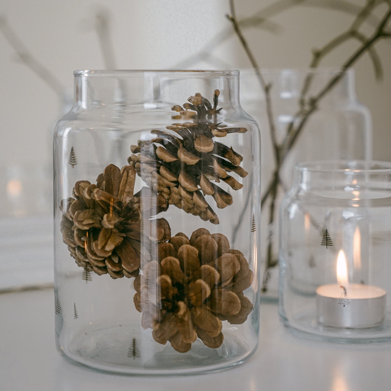 Vase en verre grand sapin