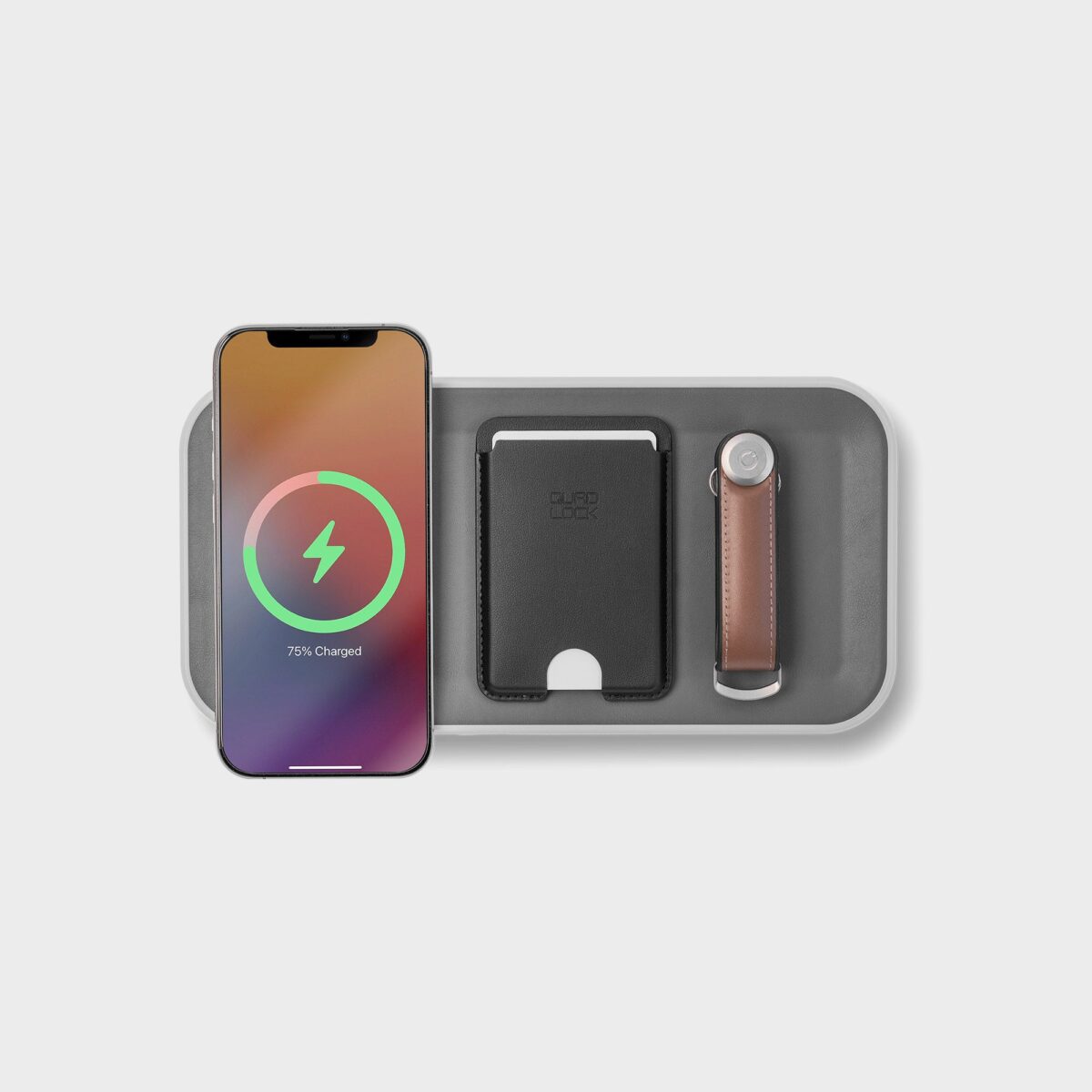 Orbitkey Nest v2 Ash