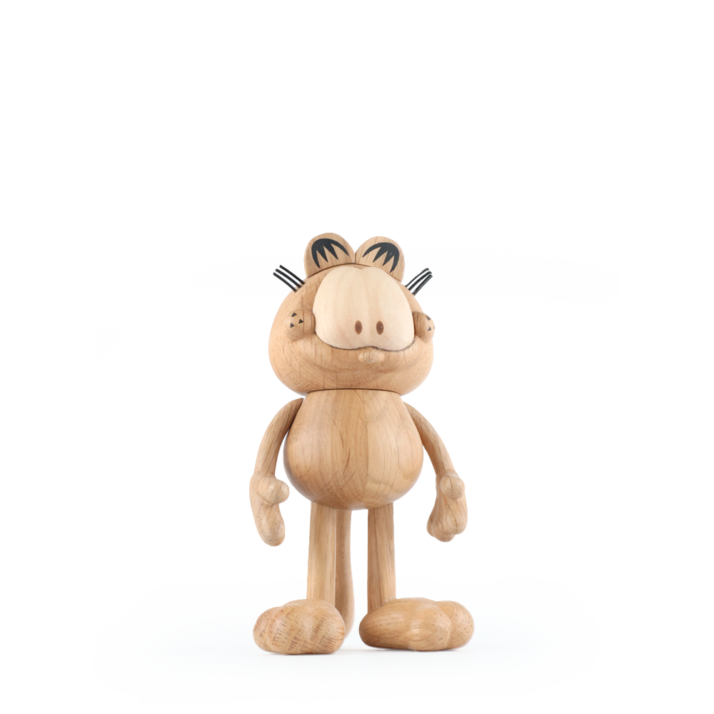 Boyhood Garfield