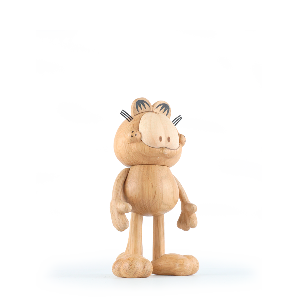 Boyhood Garfield