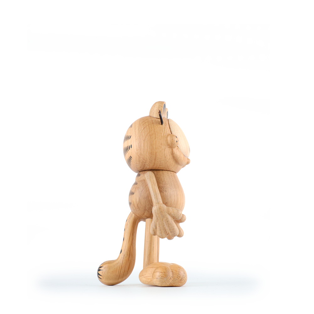 Boyhood Garfield