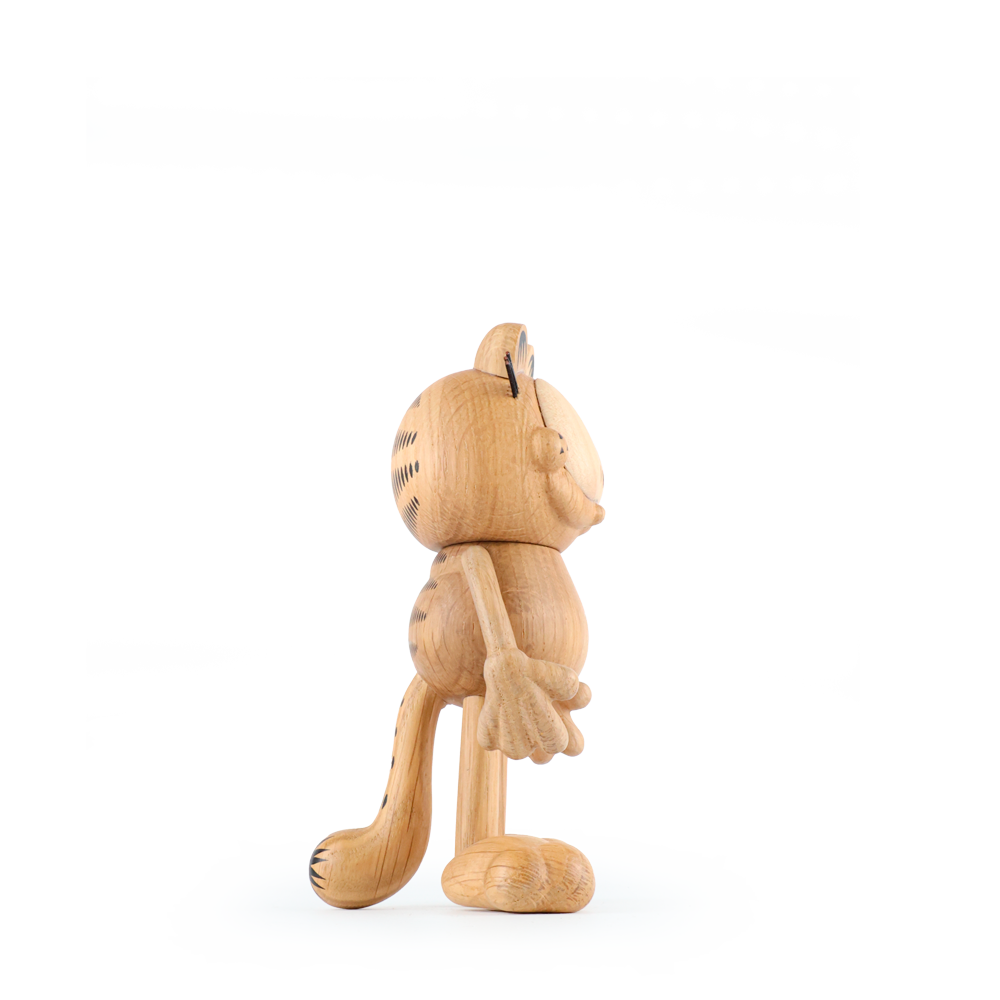 Boyhood Garfield