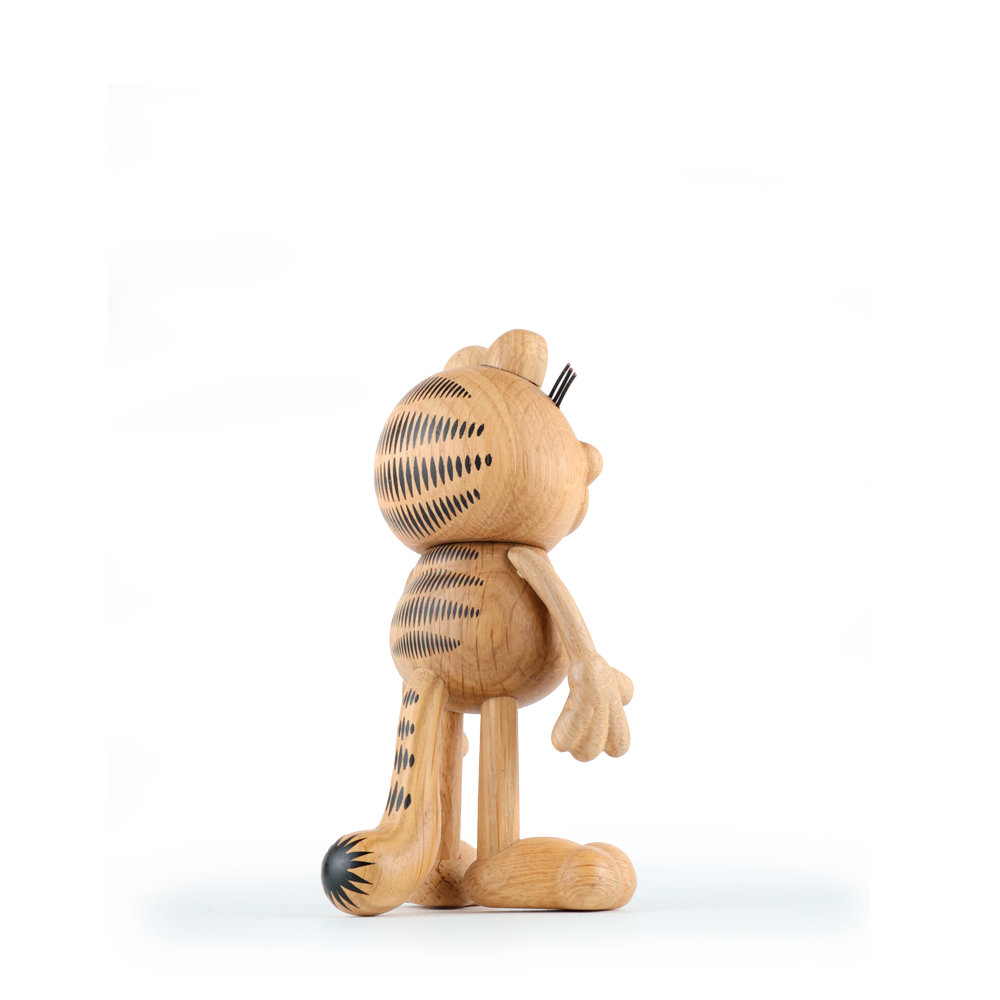 Boyhood Garfield