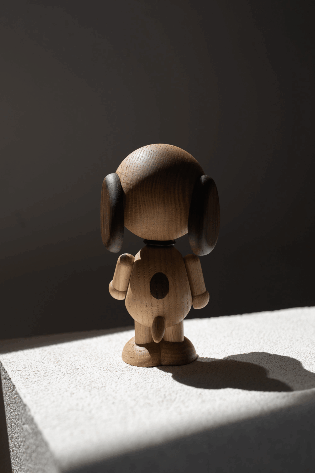 Snoopy as a Boy