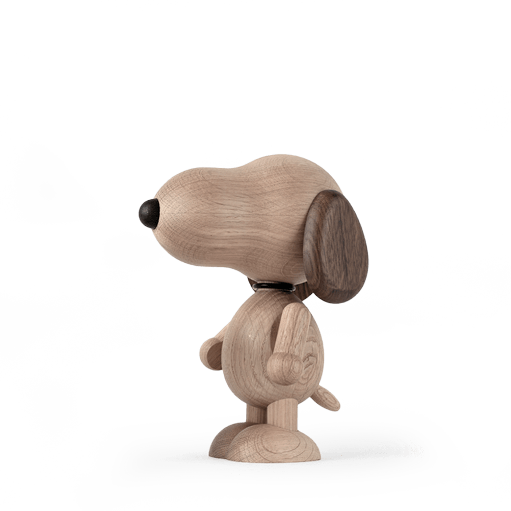 Snoopy as a Boy