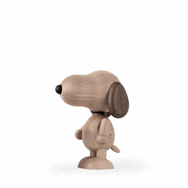 Peanut x Snoopy