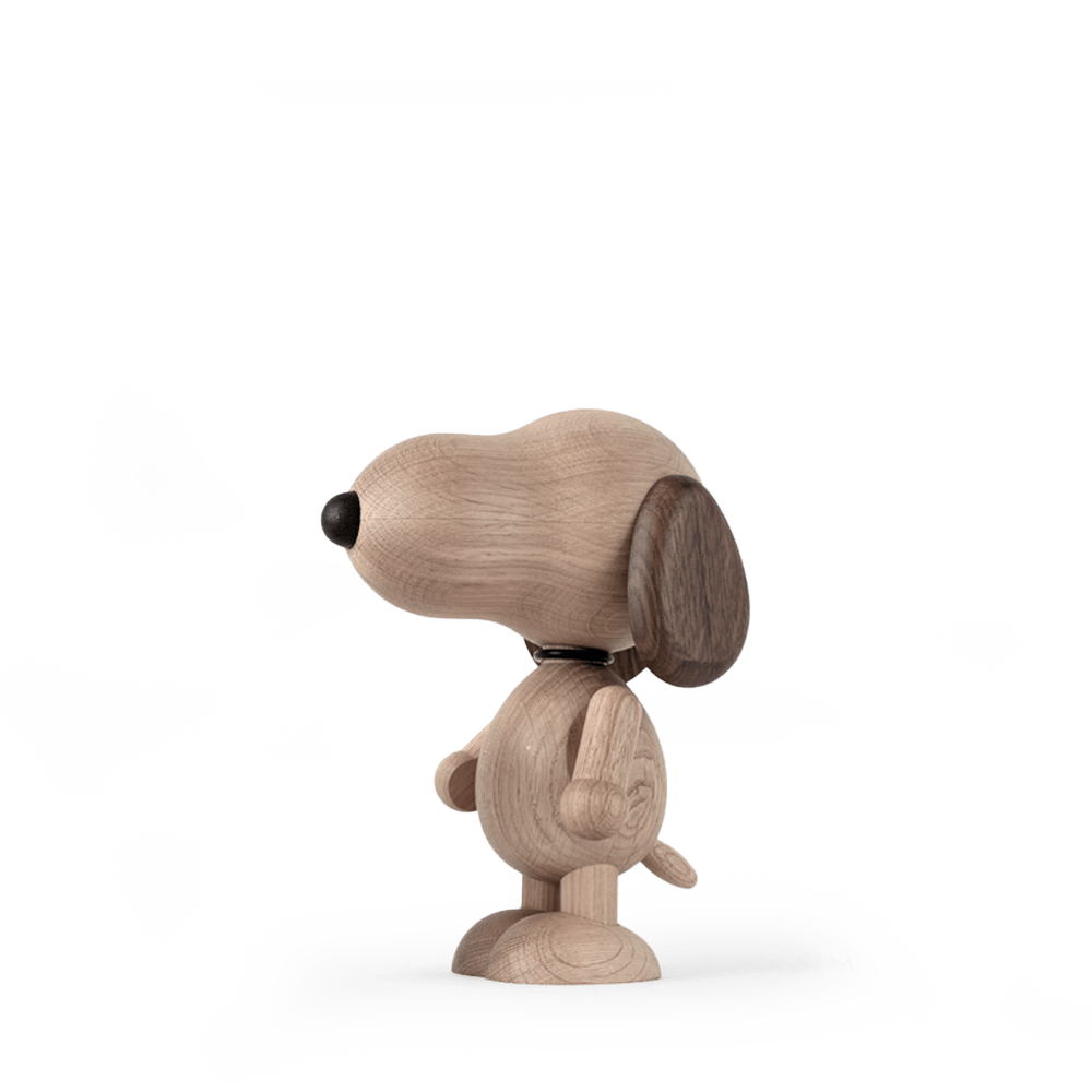 Snoopy as a Boy