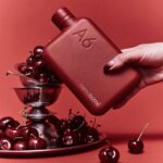 Memobottle A6 Acier inoxydable