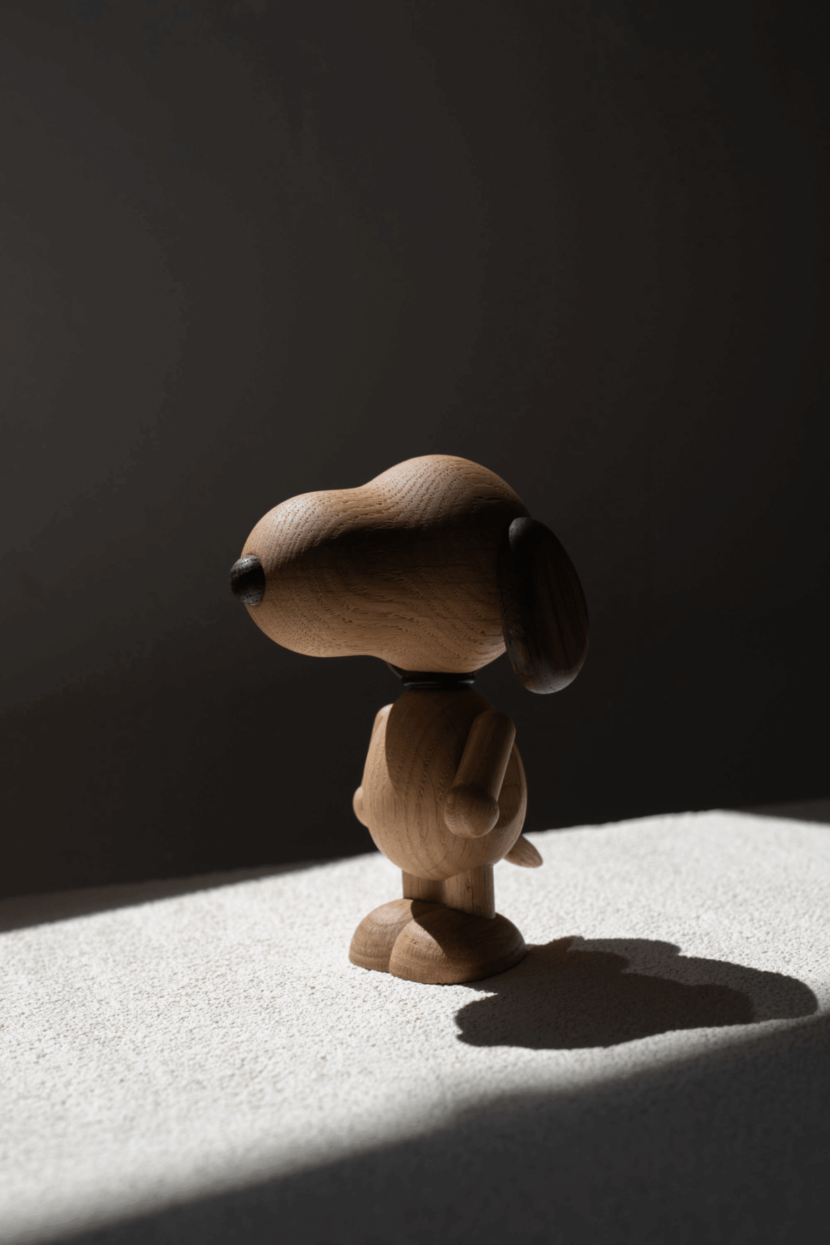 Snoopy as a Boy