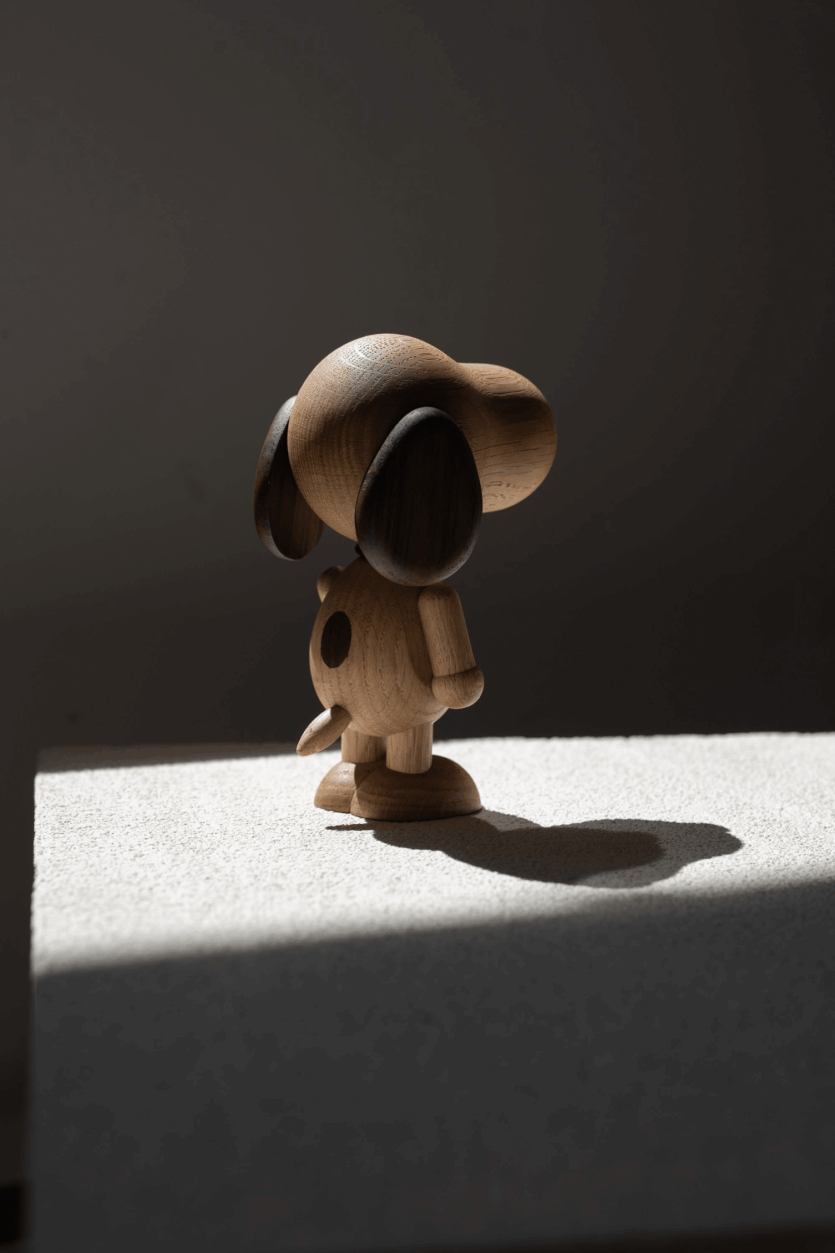 Snoopy as a Boy