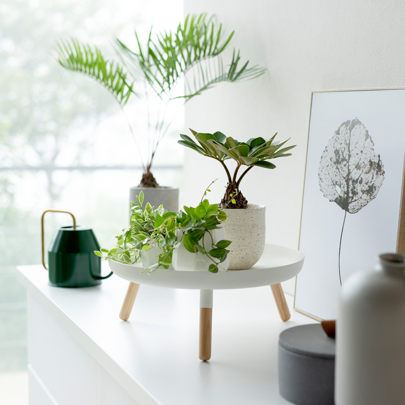 Plateau PLAIN avec pieds en bois