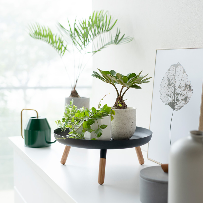 Plateau PLAIN avec pieds en bois