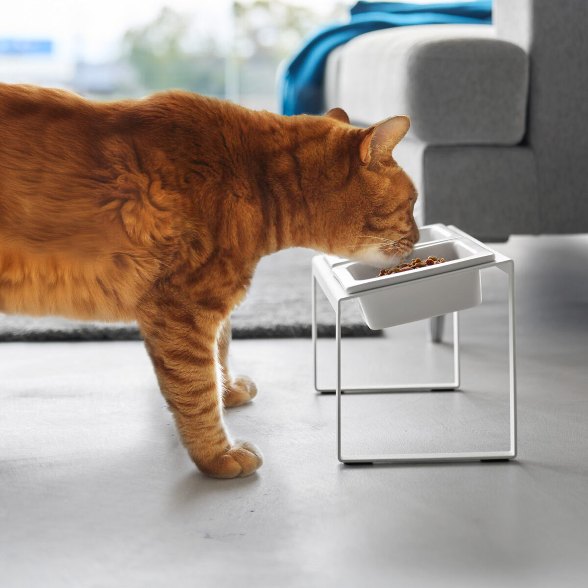 Ensemble de gamelles NOOKS avec support