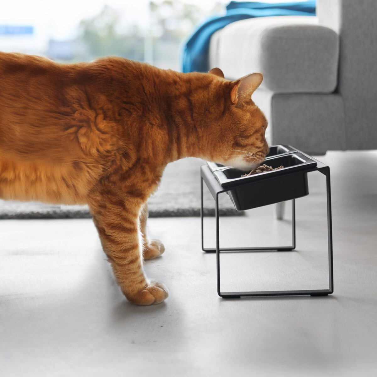 Ensemble de gamelles NOOKS avec support