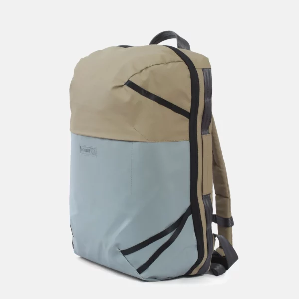 NACOV 7.1 - Chameau gris