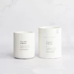 Chickidee Homeware Ltd Betonkerze Feigenblatt & Melone | One Horizon