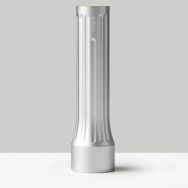 Temple Taschenlampe - Silber