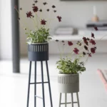 DesignBite Blumentopfständer Mitternachtsblau Niedrig, Detailansicht 4 | One Horizon