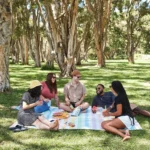 Dock & Bay Picknick-Decke , Detailansicht 8 | One Horizon