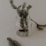 Eulenschnitt Medium Glass Vase with Christmas Car, Detail View 7 | One Horizon