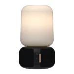 aLoomi
