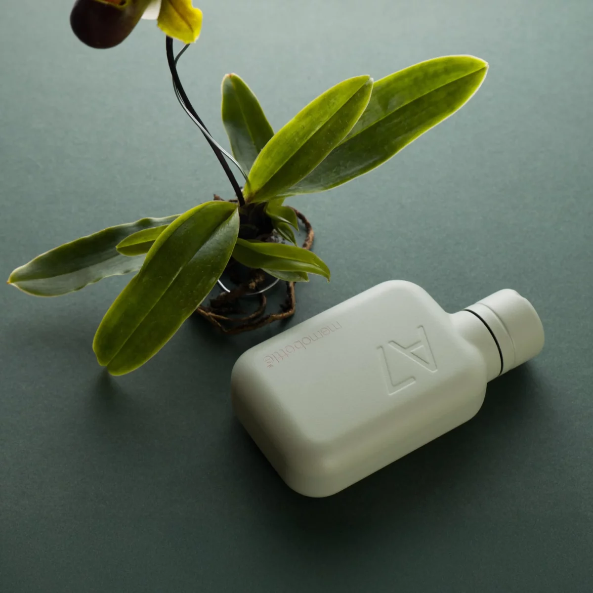 Memobottle Memobottle A7 Edelstahl Pistazie, Detailansicht 3 | One Horizon