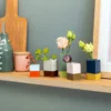 Lot de 5 mini-vases « Remember », vue détaillée n° 4 | One Horizon