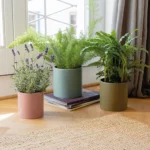 Set de 3 pots à plantes