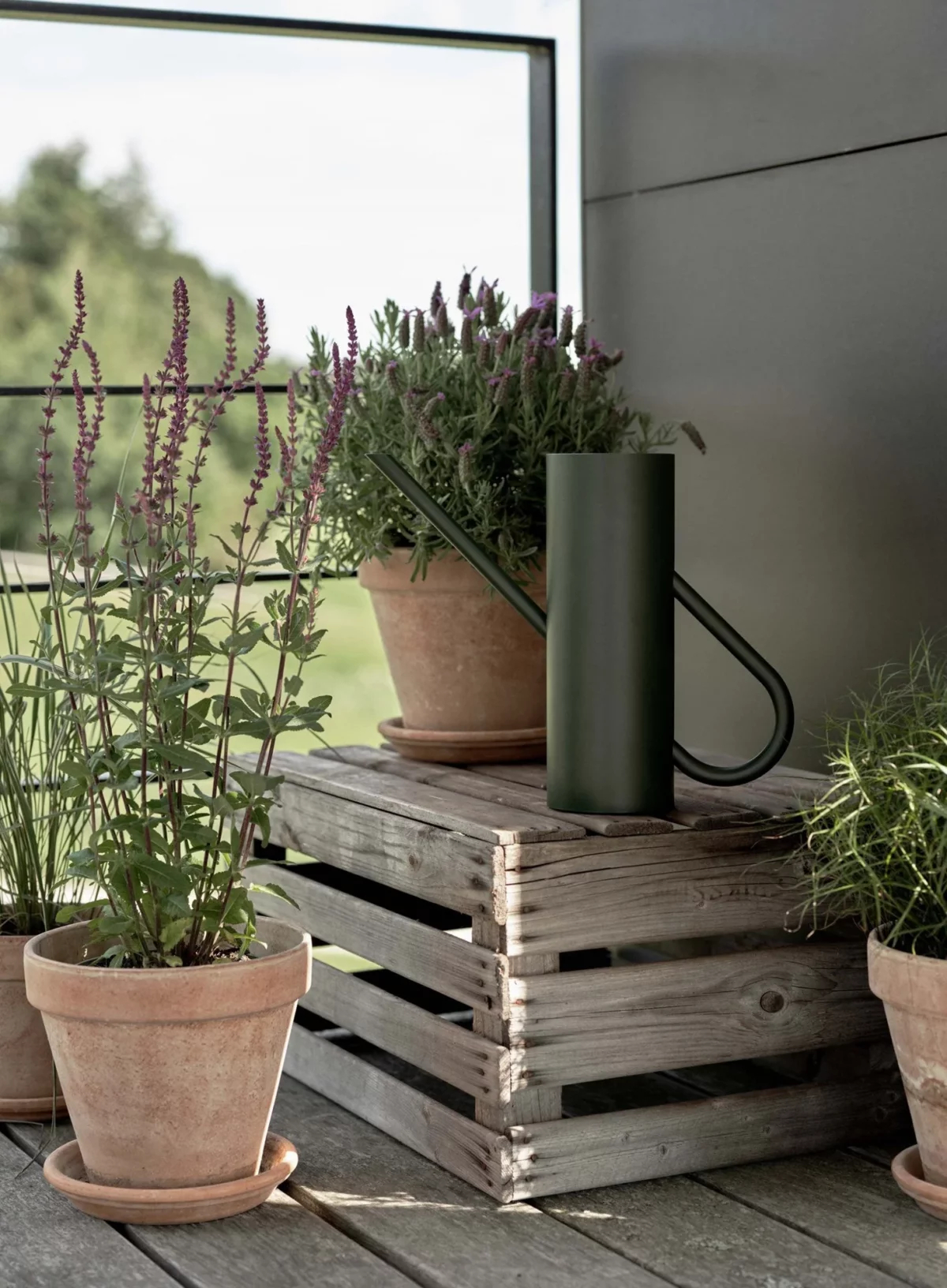 Bloom watering can