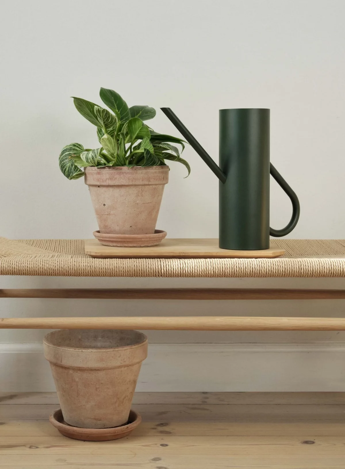 Bloom watering can