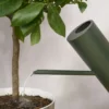 Stelton Giesskanne Bloom Pine, Detailansicht 5 | One Horizon
