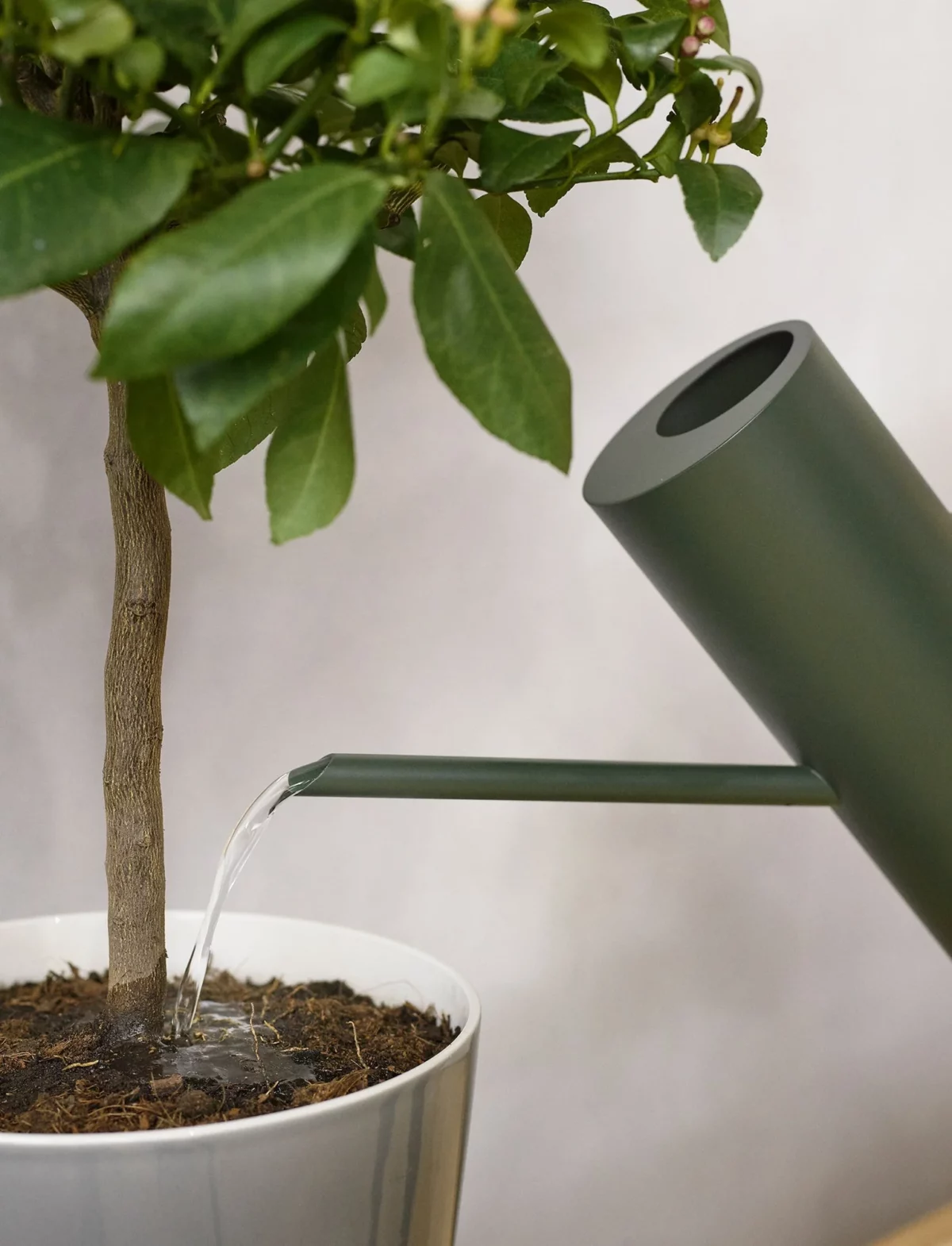 Bloom watering can