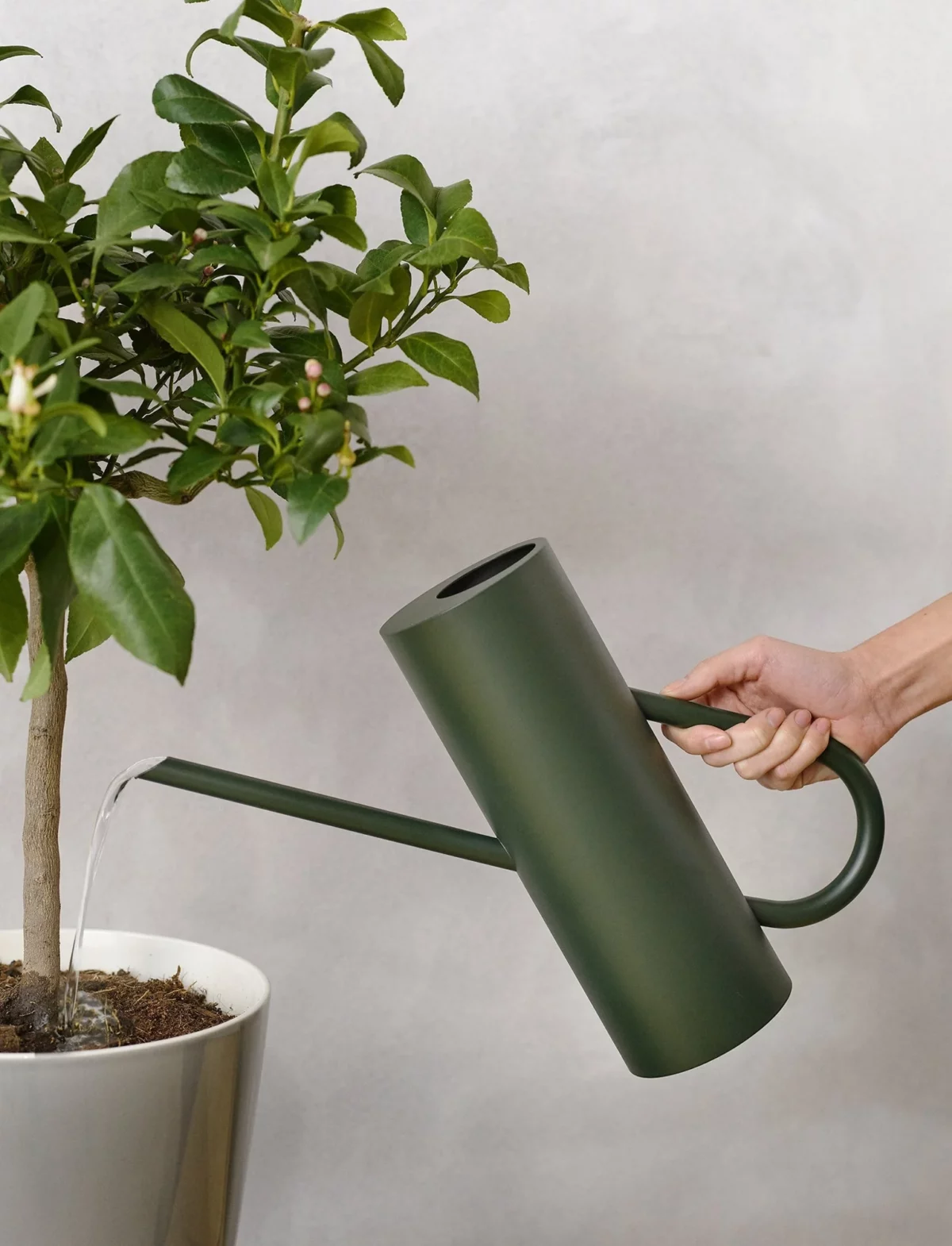Bloom watering can