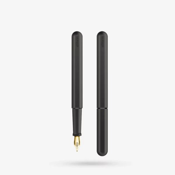 INK Titanium Fountain Pen