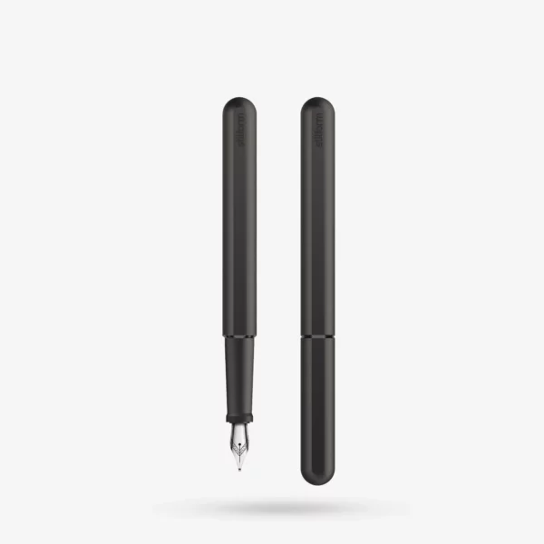 INK Titanium Fountain Pen
