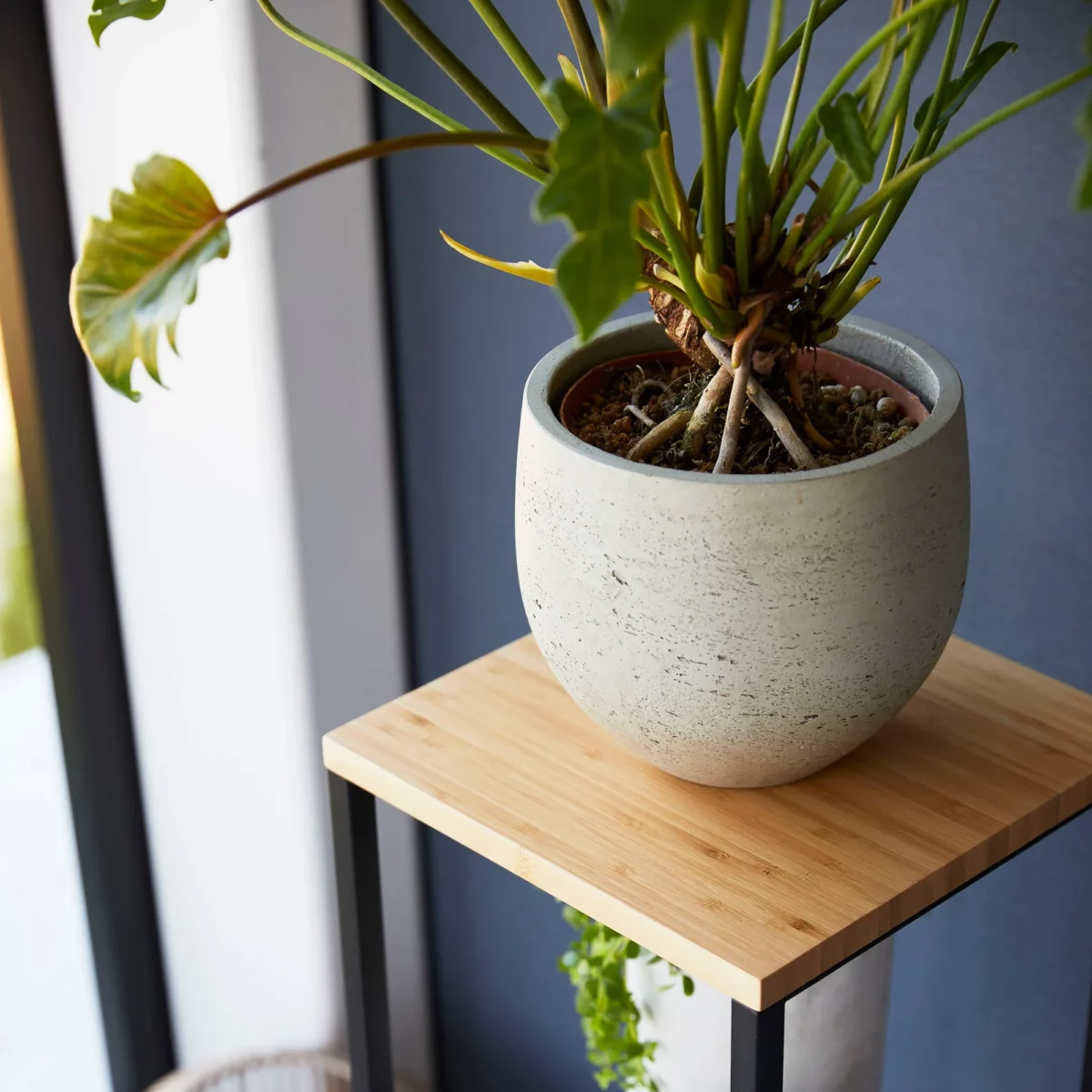 Yamazaki TOWER Decorative Shelf, Black, Detail View 6 | One Horizon