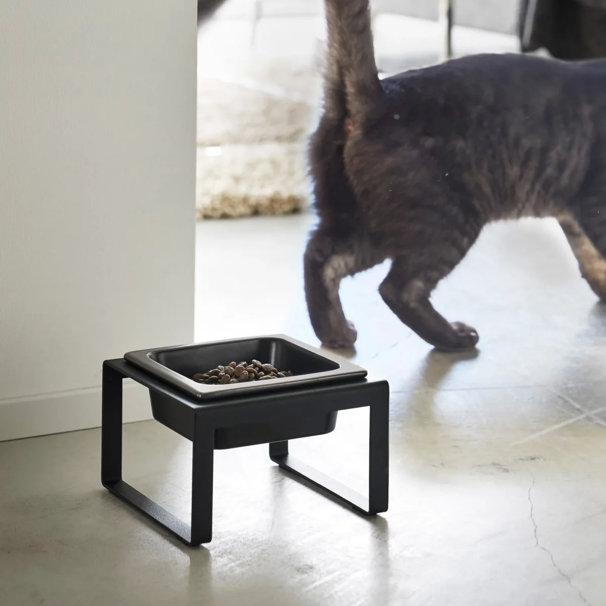 Yamazaki TOWER Food Bowl, single, with stand in black, on the floor, a cat walking by