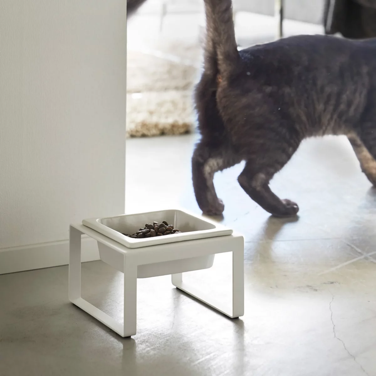 Yamazaki TOWER Food Bowl, single, with stand in white, on the floor; a cat is walking by