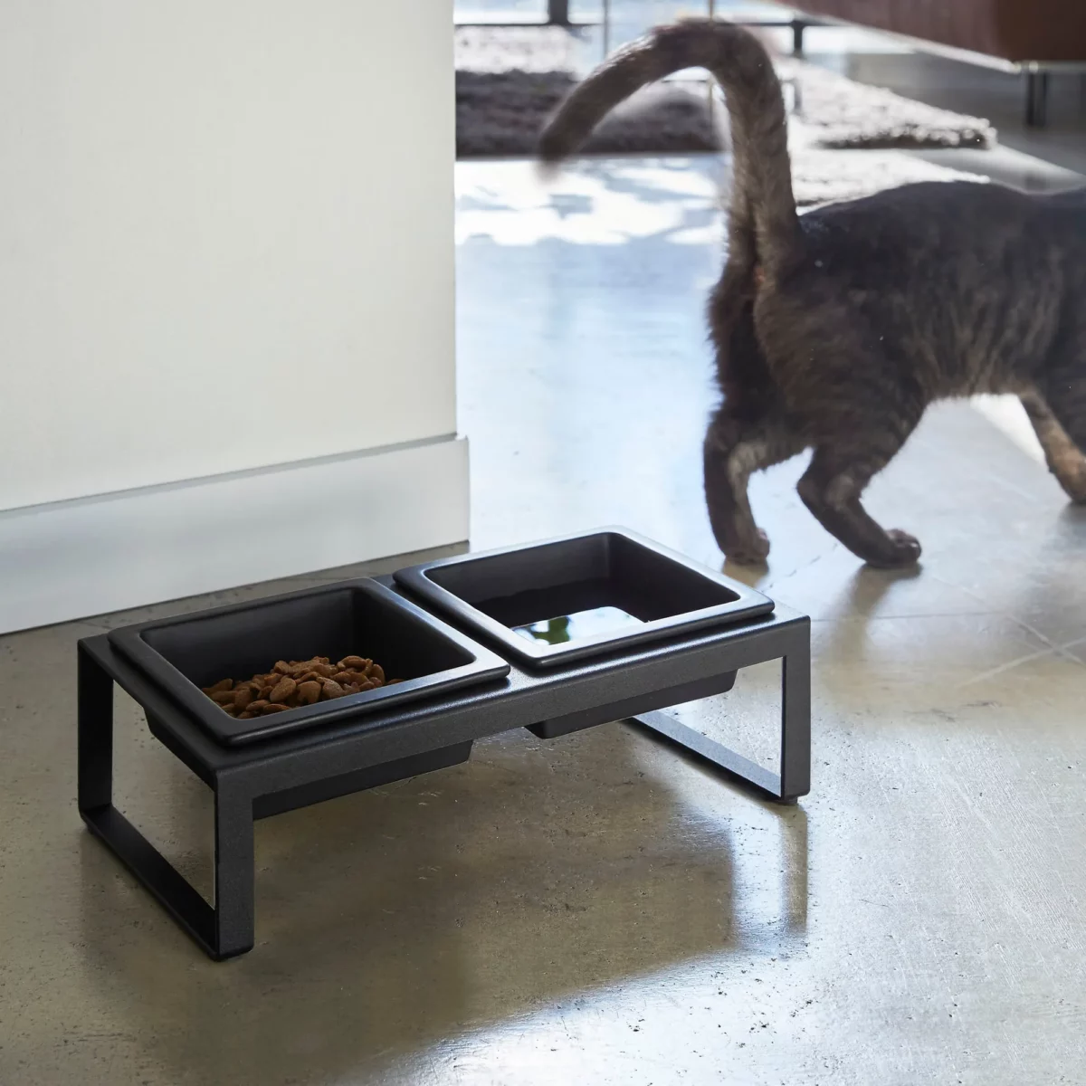Yamazaki Futternapf TOWER mit Ständer in Schwarz, mit Futter und Wasser, Katze geht vorbei