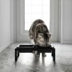 Yamazaki Futternapf TOWER mit Ständer in Schwarz, Katze frisst von vorne am Fenster