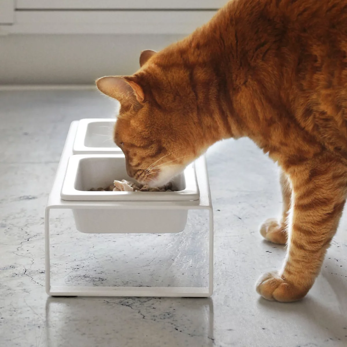 Yamazaki Futternapf TOWER mit Ständer in Weiss, rote Katze frisst aus dem erhöhten Napf