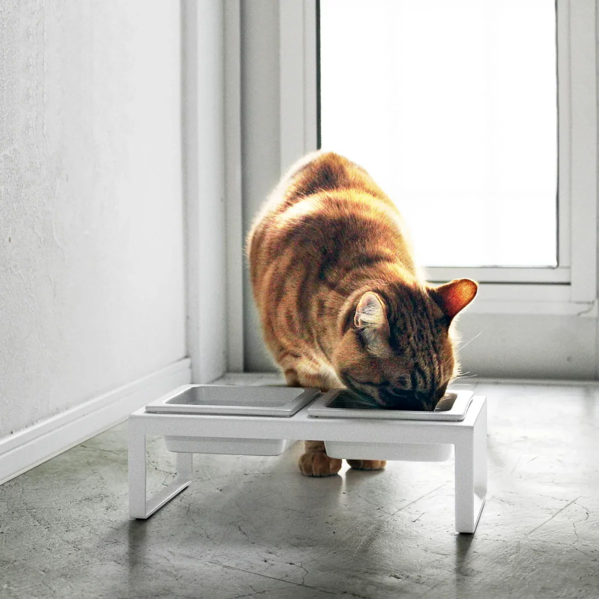 Yamazaki Futternapf TOWER mit Ständer in Weiss, Katze frisst von vorne am Fenster