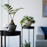 Yamazaki TOWER Plant Stand, Black, Detail View 9 | One Horizon