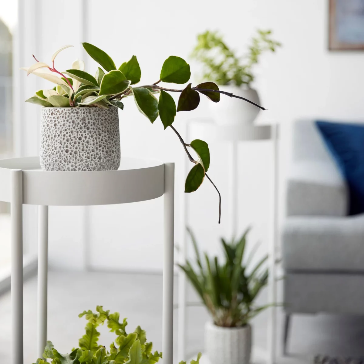 Yamazaki TOWER Plant Stand, White, Detail View 9 | One Horizon