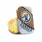 Zunder Zahnstocher Zahnstocher Tropic Box | One Horizon