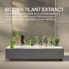 Infografik Biogen Plant Extract im BABOR Derma Filler Serum: Pflanzen unter Glas auf einem Steintisch