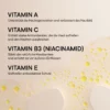 Infografik BABOR Multi Vitamin mit Vitamin A, Vitamin C, Vitamin B3 (Niacinamid) und Vitamin E