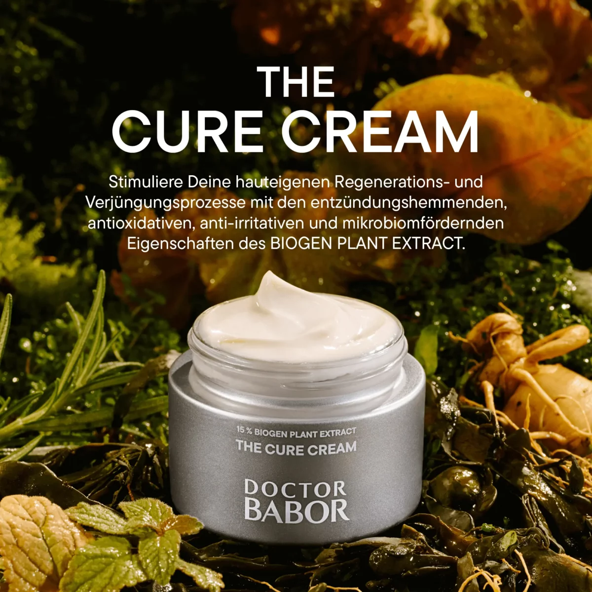 Geöffneter Tiegel BABOR The Cure Cream zwischen Kräutern und Wurzeln, Text zur Wirkung des Biogen Plant Extract